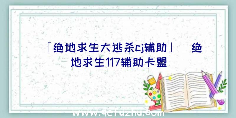 「绝地求生大逃杀cj辅助」|绝地求生117辅助卡盟